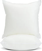 Foamily Throw Pillows Insert Set of 2-22 x 22 Insert for Decorative Pillow Covers - Made in USA - Bed and Couch Sham Filler @ M&A STYLES LTD