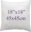 Adam Icon Hollowfibre Filled Cushion Inserts - Decorative Square Cushion Pad for Sofa, Chair, Bed - Pack of 2 (, 18x18 inch / 45x45cm)