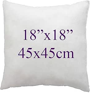 Adam Icon Hollowfibre Filled Cushion Inserts - Decorative Square Cushion Pad for Sofa, Chair, Bed - Pack of 2 (, 18x18 inch / 45x45cm)