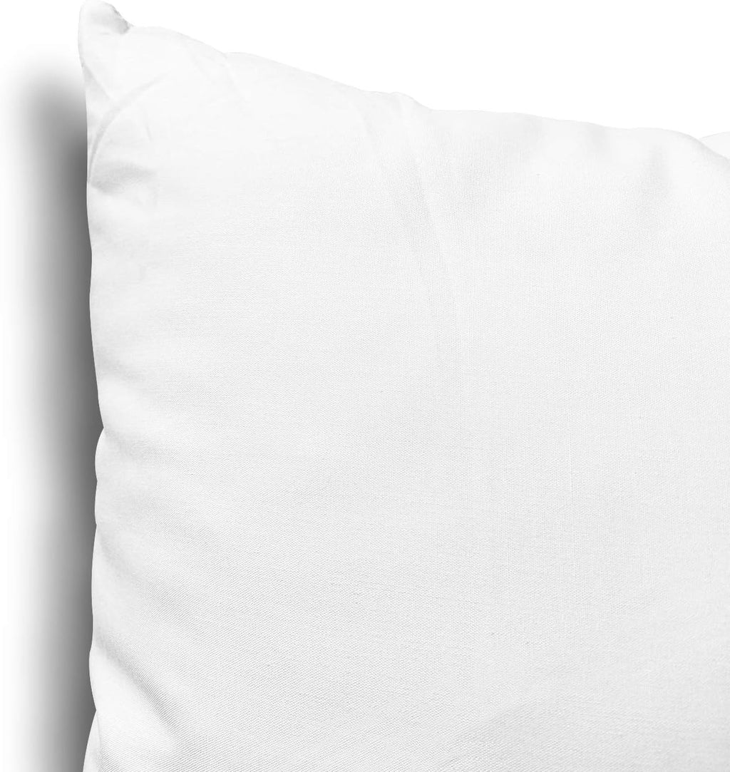 EDOW Throw Pillow Inserts, Set of 4 Lightweight Down Alternative Polyester Pillow, Couch Cushion, Sham Stuffer, Machine Washable. (White, 26x26)