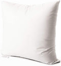 EDOW Throw Pillow Insert, Soft Fluffy Down Alternative Polyester Square Form Decorative Pillow Insert,Sham Stuffer,Cotton Cover for Sofa, Couch,Bed and Car. (White, 24x24)