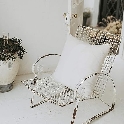 EDOW Throw Pillow Insert, Set Of 2 Hypoallergenic Down Alternative Polyester Square Form Decorative Pillow, Cushion,Sham Stuffer. 20x20 White