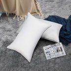 EDOW Soft Pillows for Sleeping (2 Pack),Supportive Down Alternative Polyester Micro-Fiber Filled Pillows, Brushed Cotton Cover, Machine Washable (White, Queen(20x30)) @ M&A STYLES LTD